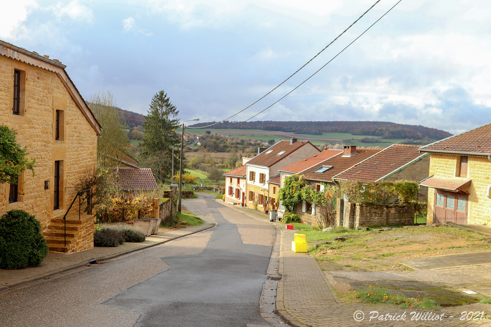 Torgny